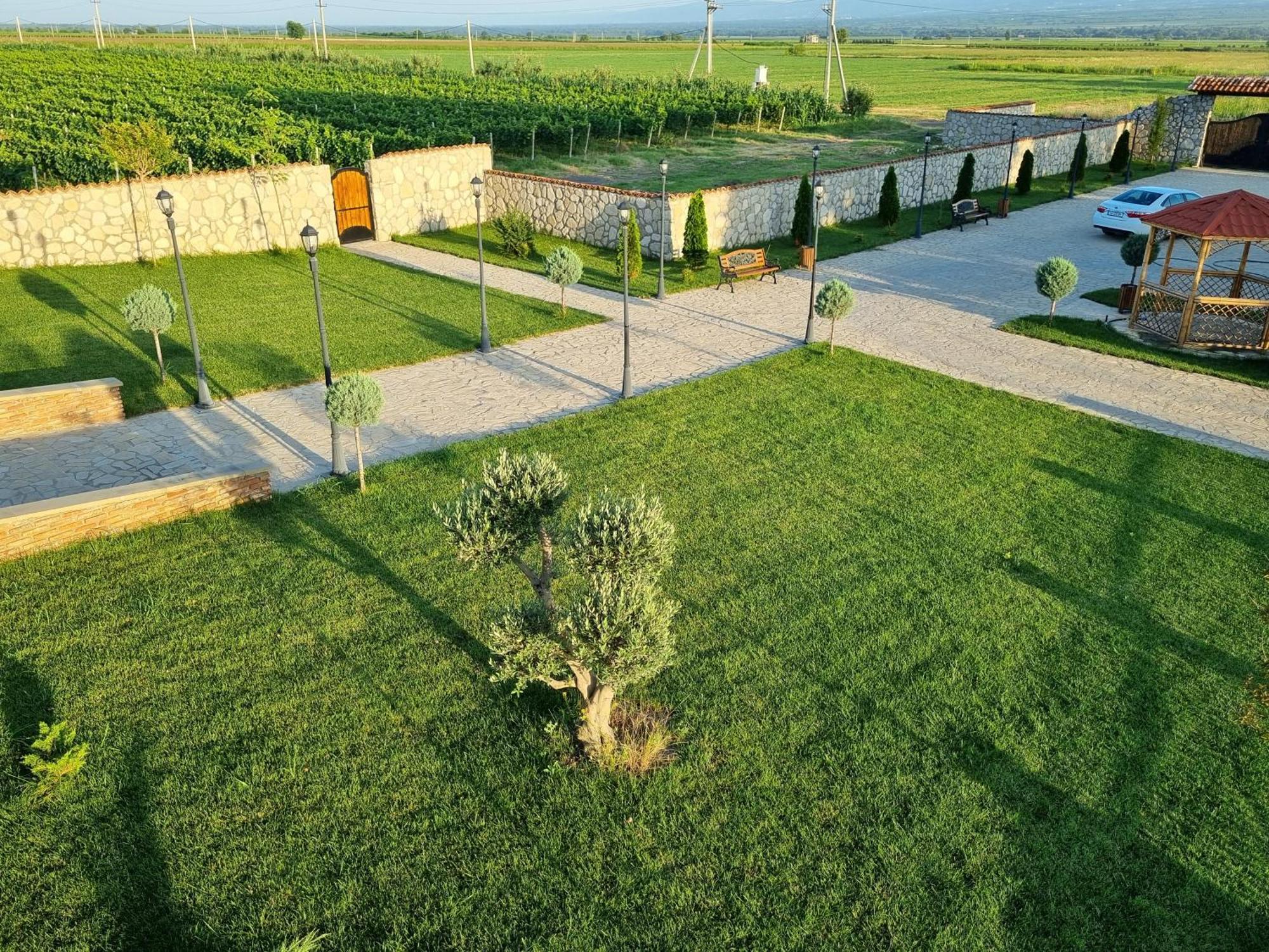 Chateau Davitiani Shilda Extérieur photo